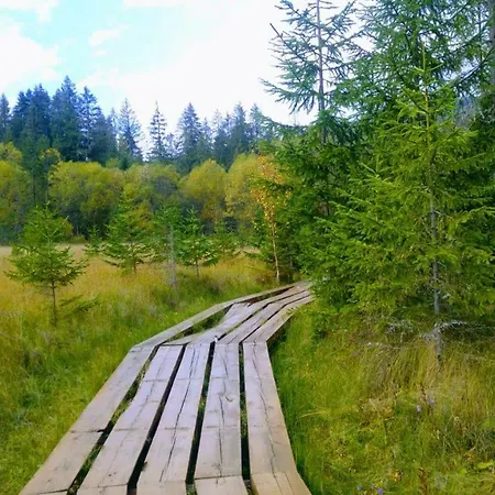 Апарт-отель Goral Oravice Витанова